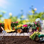 Lavori fai da te in giardino: gli attrezzi indispensabili per il giardinaggio