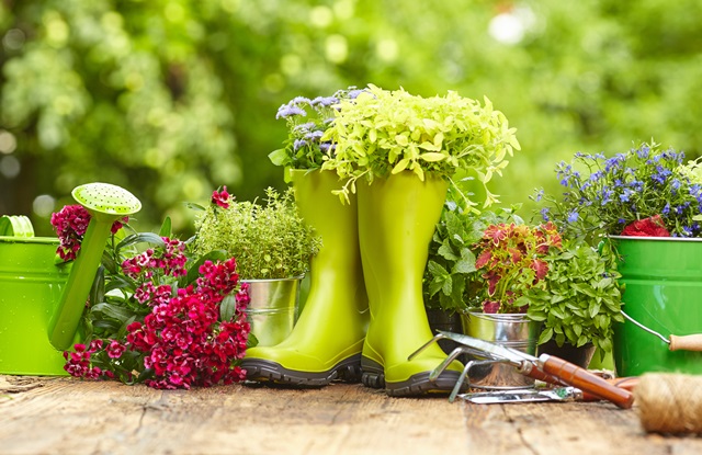 Prendersi cura del giardino in primavera: come rigenerare il prato dopo l’inverno